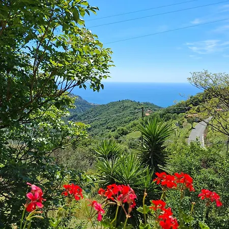 Cinque Terre & Portofino Lodge-dependance Bracco Апартаменты Монелья