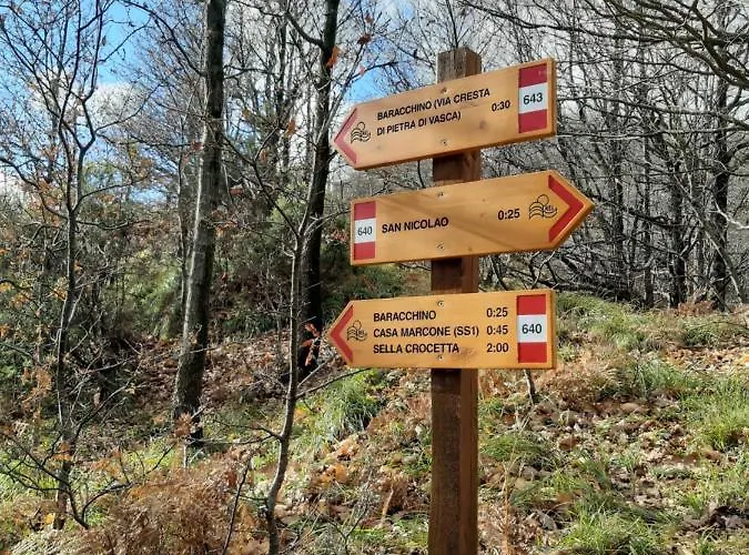 Апартаменты Cinque Terre & Portofino Lodge-dependance Bracco *